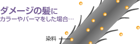 イラスト:ダメージの髪にカラーやパーマをした場合...