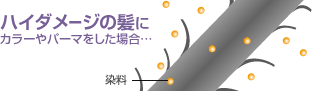 イラスト:ハイダメージの髪にカラーやパーマをした場合...