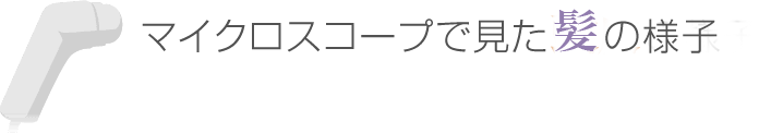 マイクロスコープで見た髪の様子